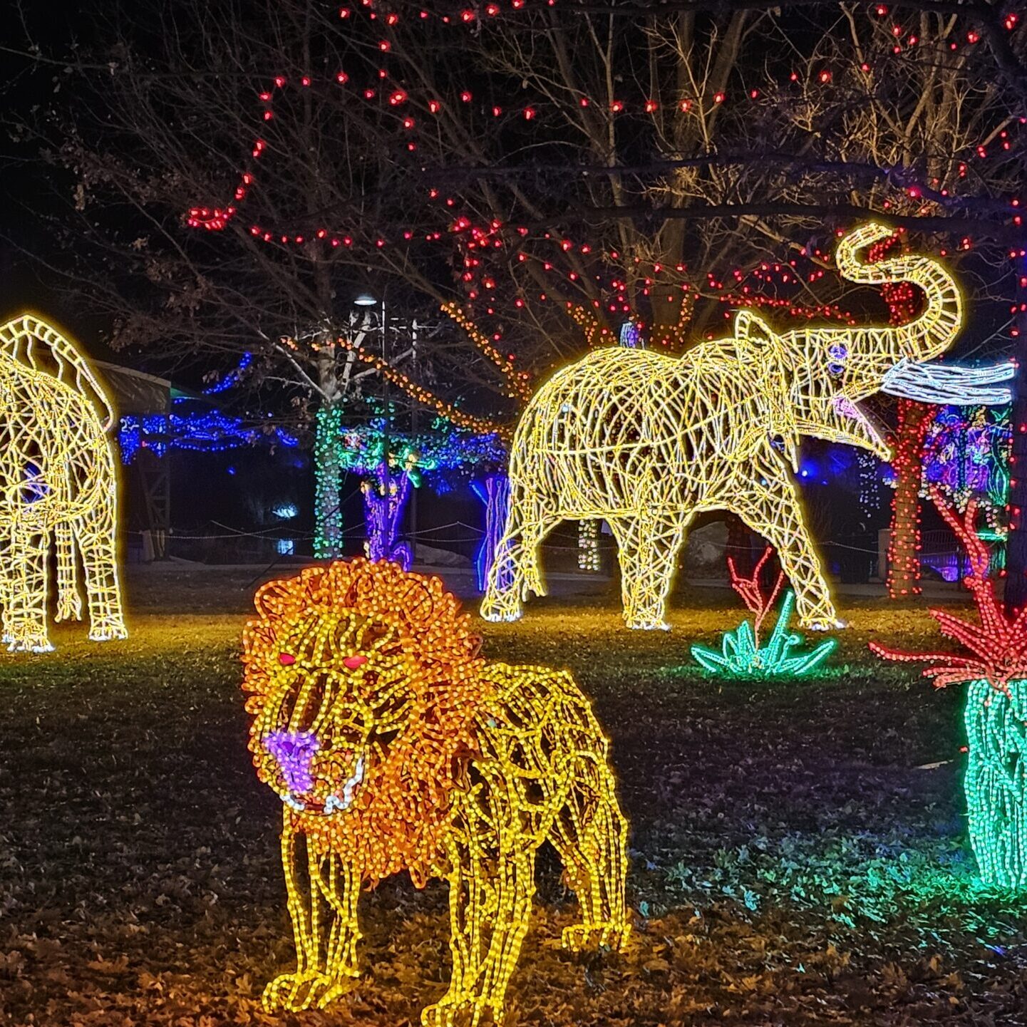 River of Lights Savanah