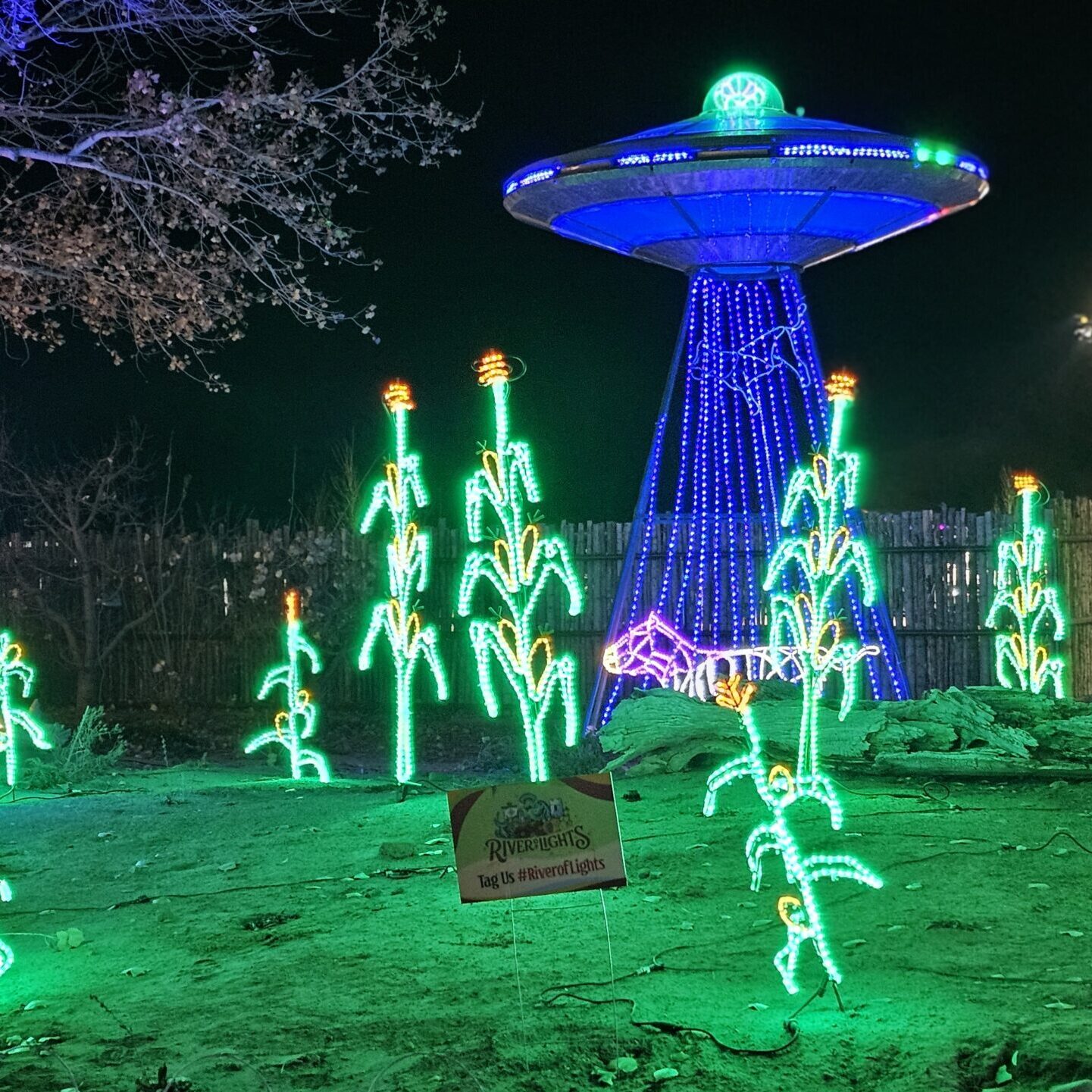 River of Lights Aliens