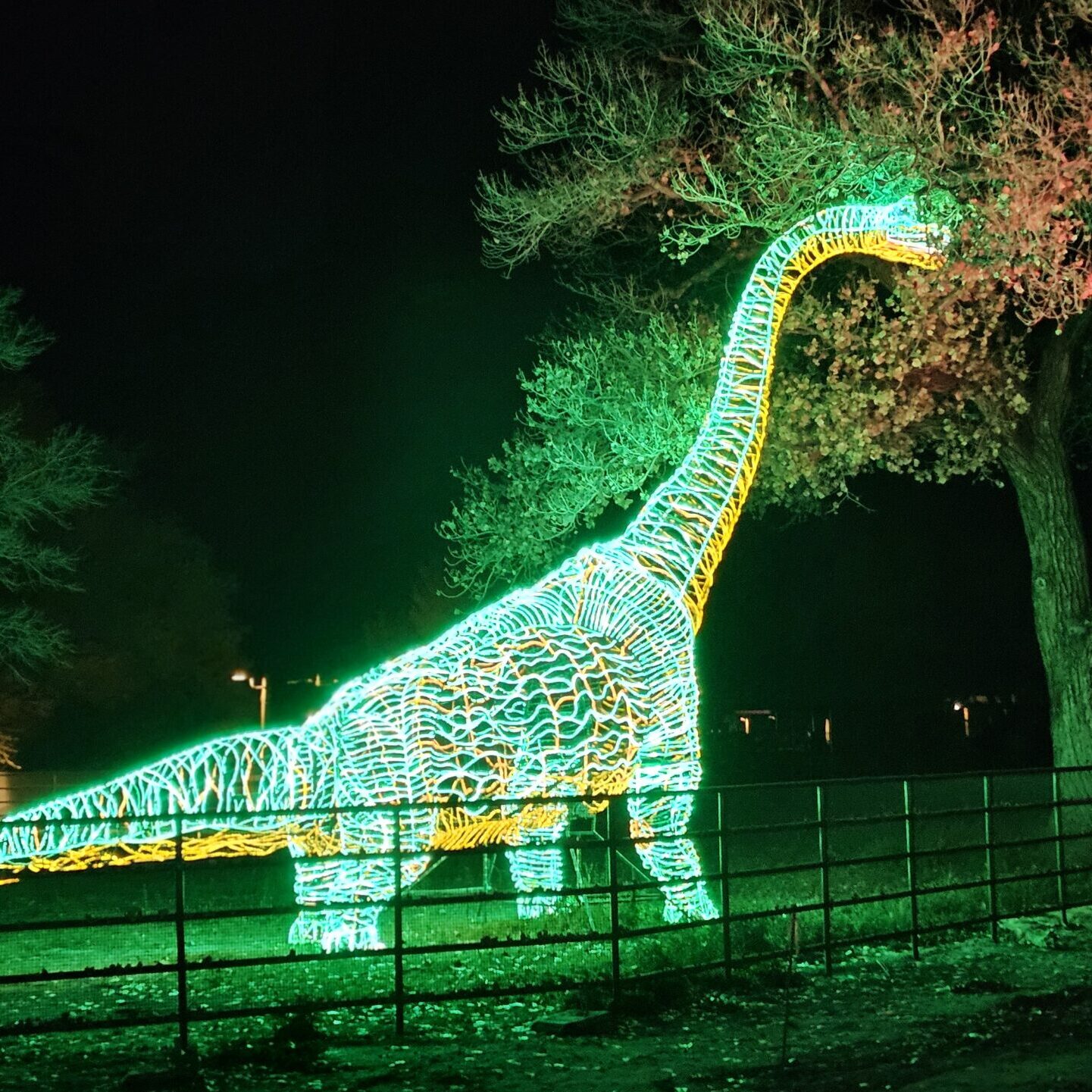 River of Lights Dinosaur