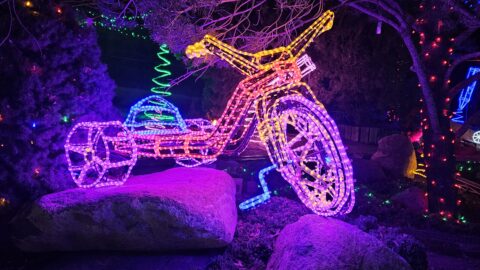 River of Lights Tricycle